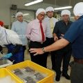 Cari Solusi Anjloknya Harga Udang, Pemprov Kaltara Undang Perusahaan Cold Storage