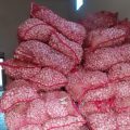 Masa Relaksasi Impor Bawang Putih dan Bombai, Kementan Kantongi RIPH Importir