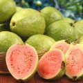 Jambu Biji dan Madu Mampu Tingkatkan Imunitas