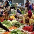 Politisi PKS: DPR Minta Sektor Pertanian Jadi Kebutuhan Prioritas