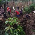 Saluran Air Tersumbat Sebabkan Tanah Retak di Desa Plompong Sirampog