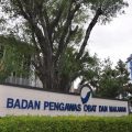 Komisi IX: Badan POM Harusnya Gencar Sosialisasikan Obat Tradisional di Tengah Pandemi Covid