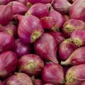 Kementan Jamin Stok Bawang Merah Aman Hadapi Ramadhan dan Idul Fitri