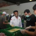 Mentan: Kebijakan New Normal Diharapkan Dongkrak Kesejahteraan Petani Kembali