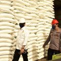 Produksi Pangan Cukup, Mentan: Jangan Timbun Makanan di Rumah