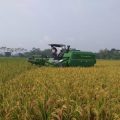 Kementan Optimalkan Lahan Rawa Seluas 300 Ha di Kutai Kartanegara