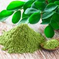 daun Kelor