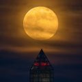Jangan Sampai Lewat, Puncak Supermoon di Tahun Ini Akan Terlihat Pada 8 April