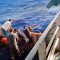 Viral Video Jenazah ABK Asal Indonesia Dilempar ke laut dari Kapal China
