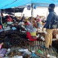 Wakil Kaltara Terbaik 2 Nusantara Sehat Challenges