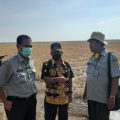 Atasi Dampak Banjir Rob, Kementan Dorong Indramayu Tingkatkan Luas Tanam Padi