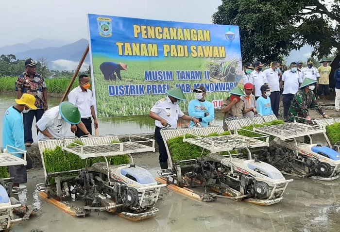 Gubernur Papua