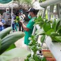 Jamkrindo Konsisten Fasilitasi Pelatihan untuk Masyarakat Ciletuh di Era New Normal