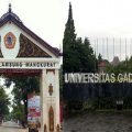Akademisi Unlam dan UGM Dukung  Pengembangan Food Estate Kalteng