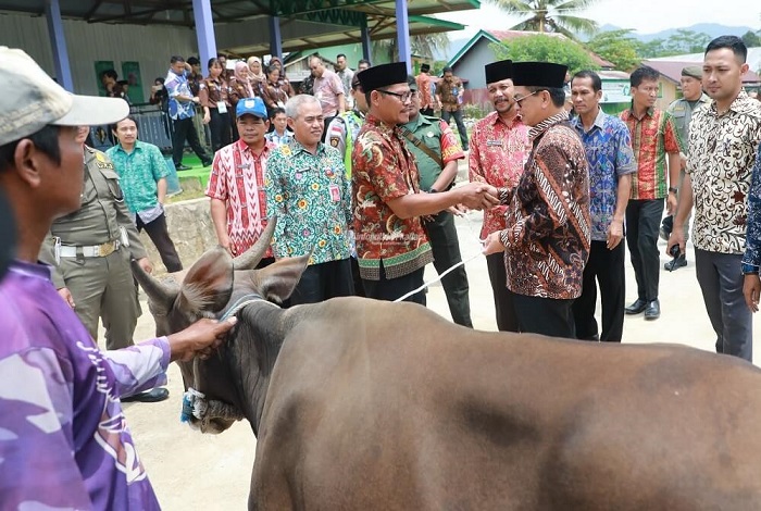 10-Stok Qurban