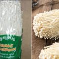 Kementan Pastikan Jamur Enoki Korsel Tak Lagi Beredar di Pasaran Indonesia
