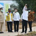Presiden Jokowi didampingi Mentan SYL Tinjau Food Estate di Kapuas
