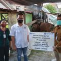 Hari Raya Idul Adha, PT Jamkrindo Serahkan Hewan Kurban di Denpasar