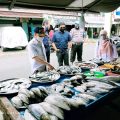 Lindungi Konsumen, DKP Gelar Test Kit Formalin