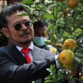 Sambangi Kota Batu, Mentan Dukung Penelitan dan Pengembangan Tanaman Jeruk dan Subtropika