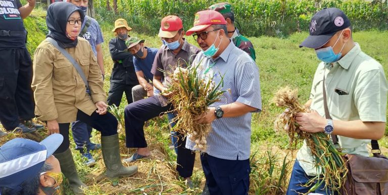 Keuangan Online