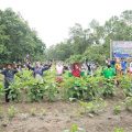 Peringatan HTN 2020, Apresiasi untuk Petani Indonesia