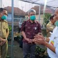 Jaga Ketahanan Pangan, Kantor Staf Presiden Dukung Pengembangan P2L Kementan