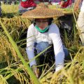 Hari Tani Nasional 2020, Bupati Purwakarta Apresiasi Program Terobosan Kementan