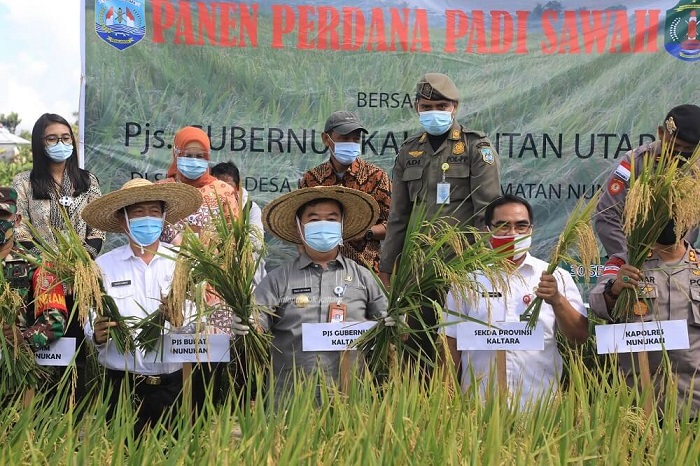 1-PANEN PADI_foto utama