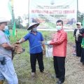 Pjs Gubernur Serahkan Bantuan Ternak Sapi
