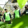 Mentan Syahrul Dorong Kabupaten Malang Jadi Penghasil Bibit Alpukat Berkualitas