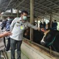 Pacu Kinerja Pertanian Sukabumi, Mentan Syahrul Perkuat Akselerasi Hulu Hingga Hilir