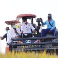 Sektor Pertanian Menjanjikan Bagi Kaum Milenial