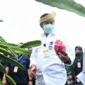 Hari Tani Nasional, Mentan:  Momen Berkolaborasi Untuk Petani Sejahtera