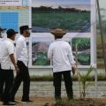 Presiden Jokowi Tinjau Percontohan Kawasan Food Estate Kalteng