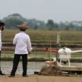 Kunjungi Food Estate Kalteng, Presiden Disuguhi Aneka Teknologi Balitbangtan