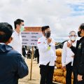 Presiden Jokowi didampingi Mentan SYL Tinjau Food Estate di Kabupaten Humbahas