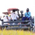 BPS: Nilai Tukar Petani (NTP) Dan NTUP Bulan Mei 2021 Naik 0,44 Persen