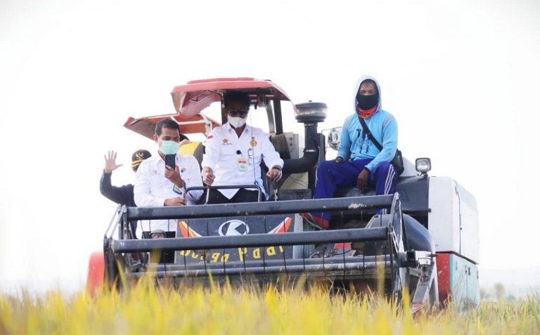 Menteri Pertanian Syahrul Yasin Limpo saat kunjungan panen rayap Image 2020-11-16 at 09.07.34 (1)