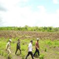 Kementan- Bupati Sumba Tengah Lakukan Percepatan Tanam Kawasan Food Estate