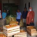 Peduli Masyarakat Terdampak Covid-19, Kementan Serap Produk Hortikultura Langsung Dari Petani