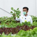 Mentan Syahrul Dorong Penerapan Smart Green House di Seluruh Indonesia
