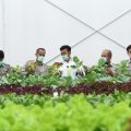 Tingkatkan Kualitas Pendidikan Vokasi Pertanian, Kementan Launching Smart Green House