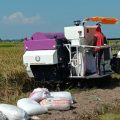Terima Bantuan Kementan, UPJA Karya Bersama Demak Sukses Kelola Mesin Panen