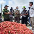 Kementan: Kenaikan Harga Cabai Hanya Sementara
