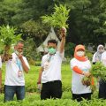 Mentan: Hadapi Pandemi, harus Kreatif dan Produktif