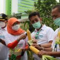 Kementan Kembangkan 1000 Kampung Hortikultura