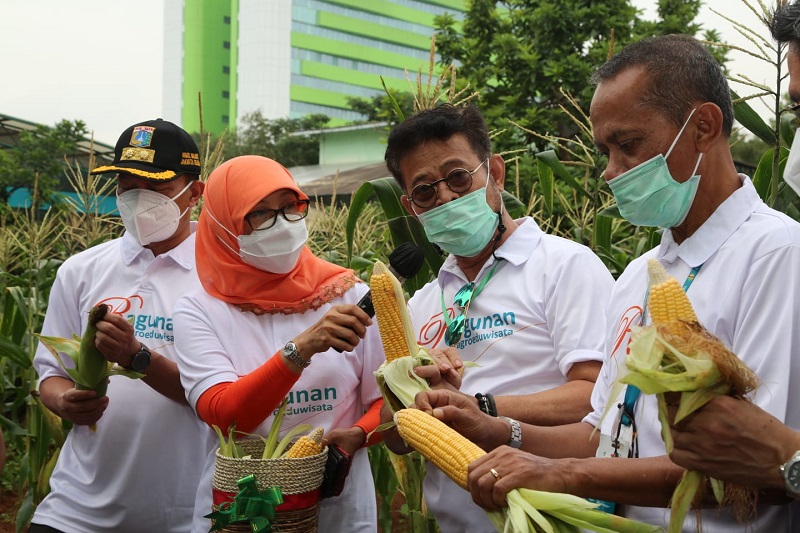 WhatsApp Image 2021-01-15 at 15.30.38