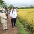 Pemda Kalteng Apresiasi Dukungan Penuh Pemerintah Pusat untuk Food Estate