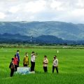 Prof Hermanto : Kementan dan Petani Sukses Bangun Kolaborasi Jaga Produksi Padi